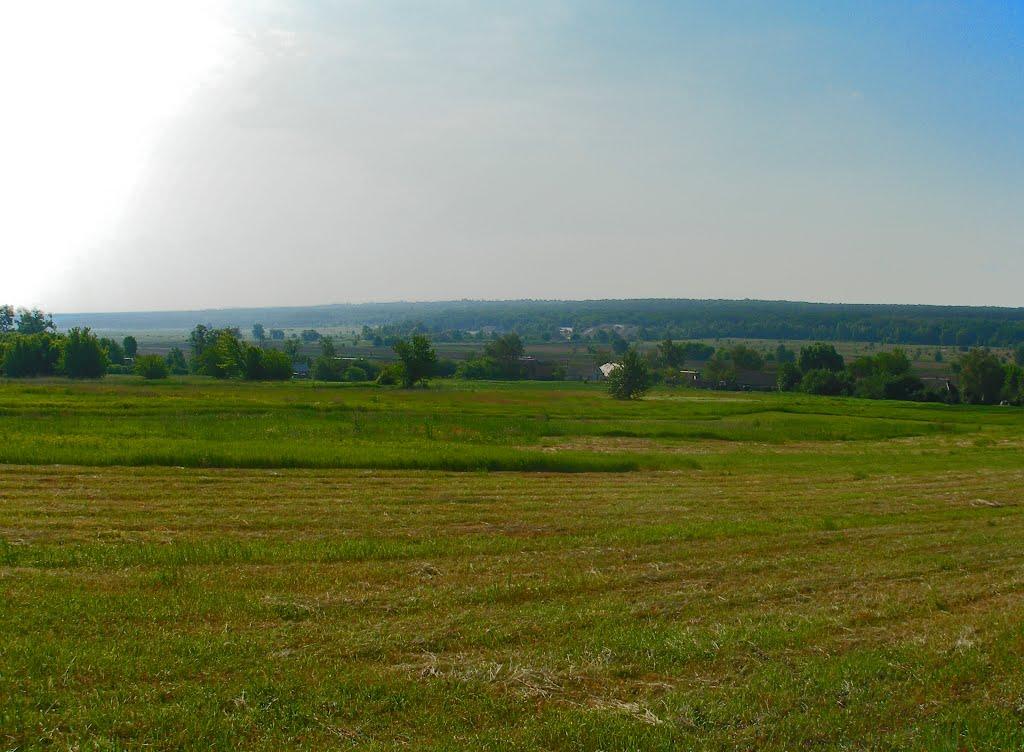 Соснівка з panoramio.com - Соснівка