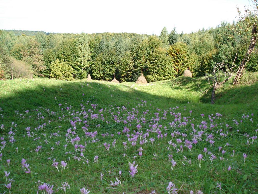 Красноїльськ з panoramio.com - Красноильск