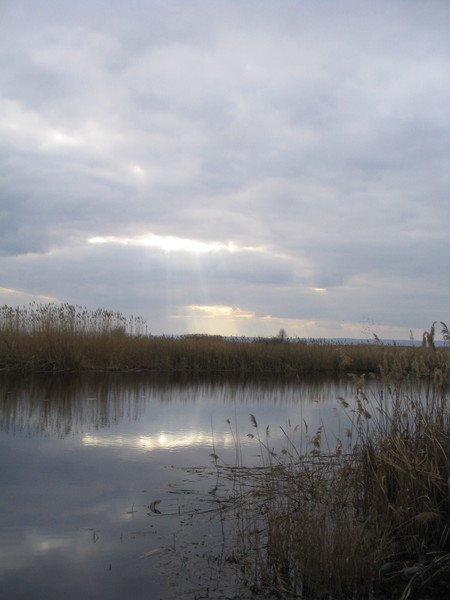 Пронозівка з panoramio.com - Пронозівка