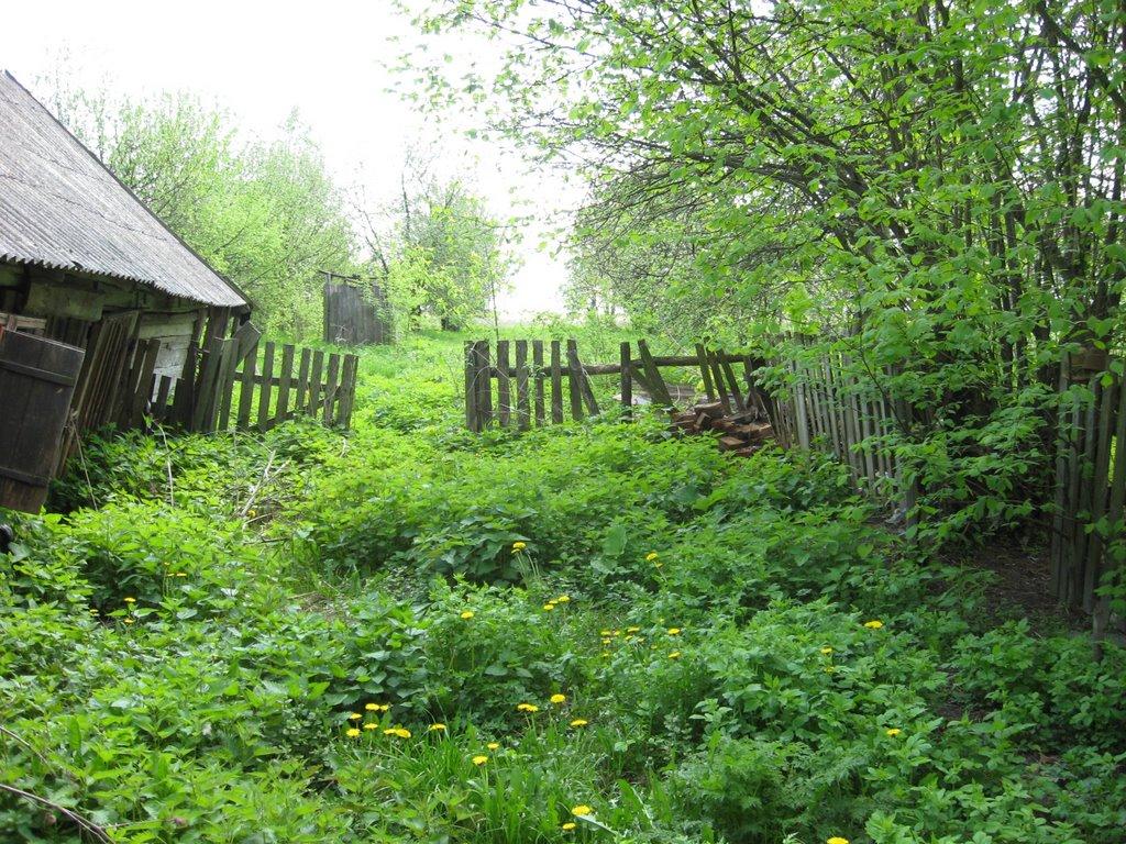Полідарівка з panoramio.com - Полидаровка