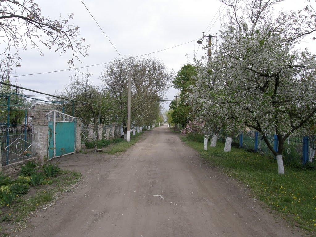 Новий Буг з panoramio.com - Новий Буг