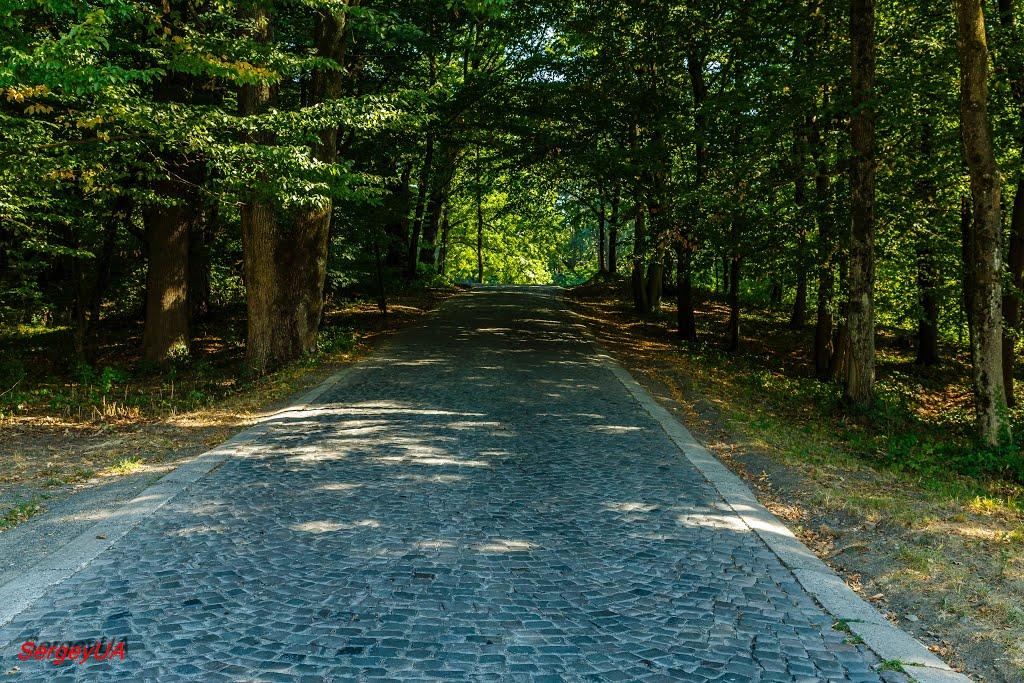 Карпати з panoramio.com - Карпаты