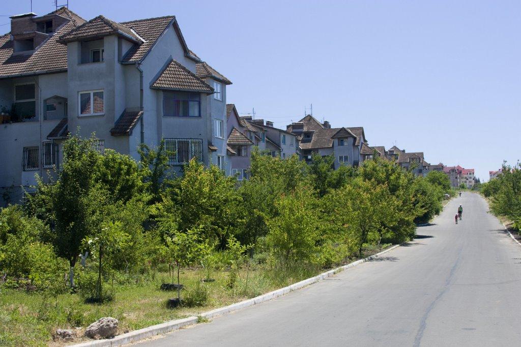 Іллічівське з panoramio.com - Ильичовское