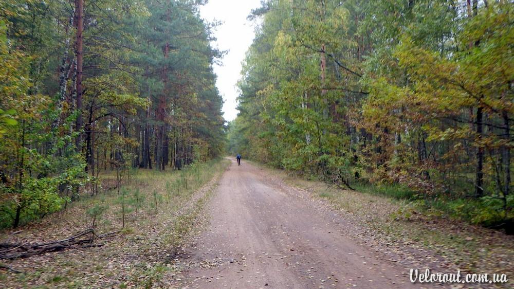 Переброди з panoramio.com - Переброди