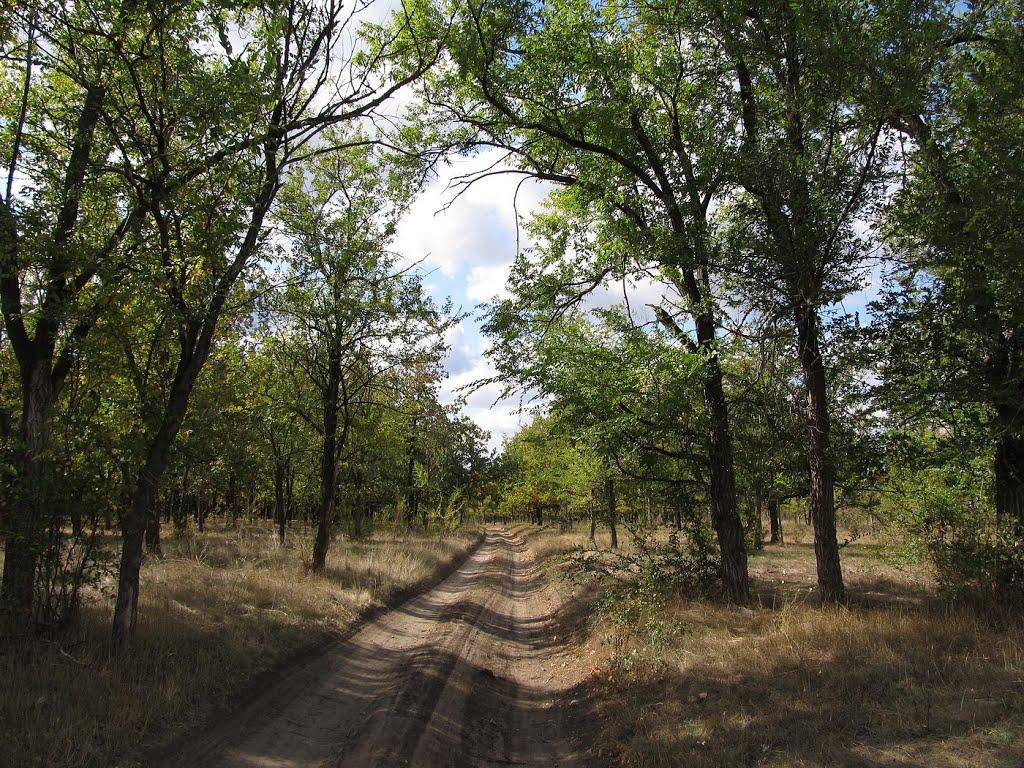 Нововоронцовка з panoramio.com - Нововоронцовка