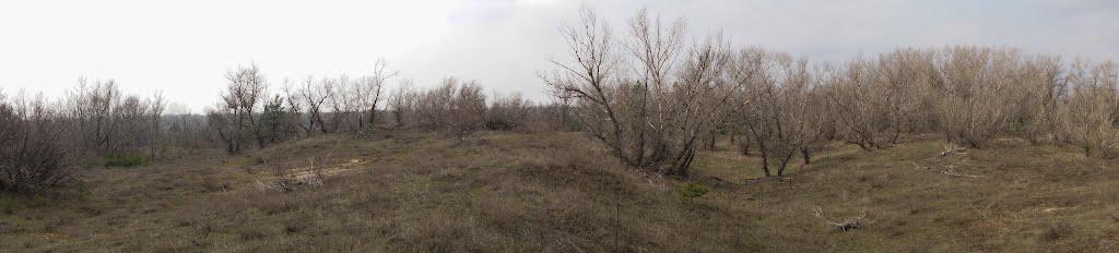 Кряківка з panoramio.com - Кряковка