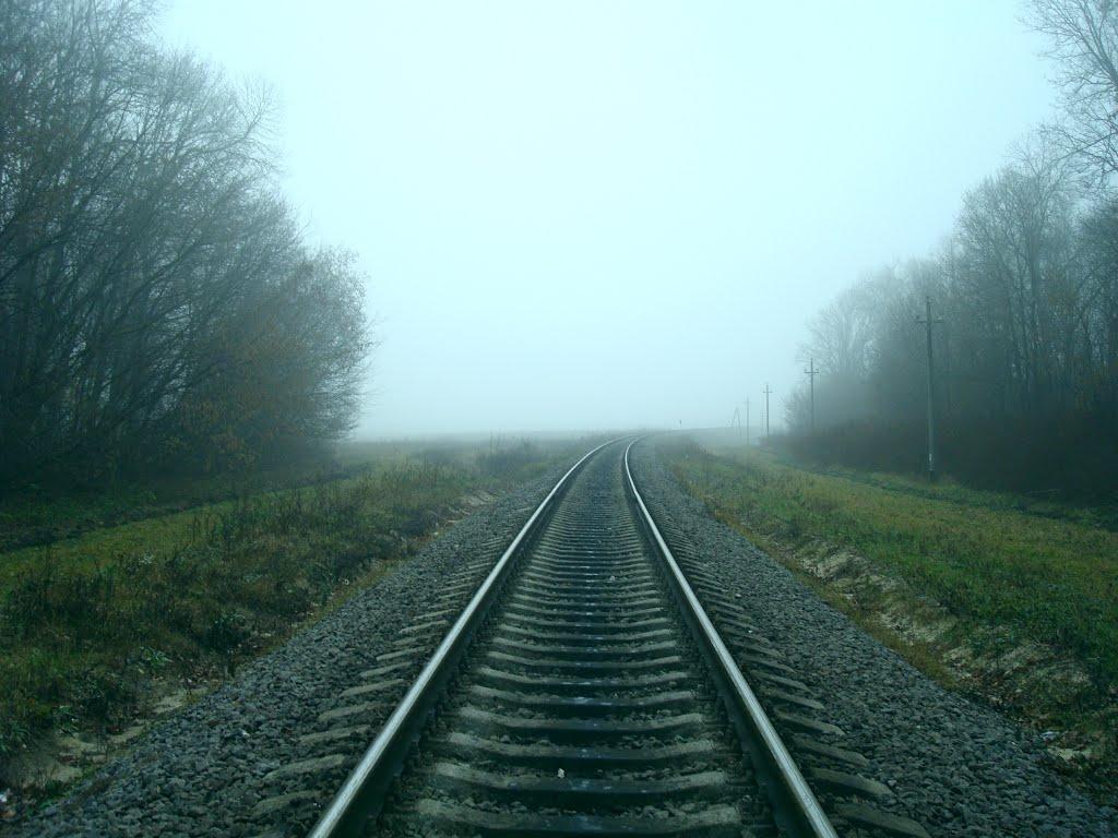 Соколівка з panoramio.com - Соколівка