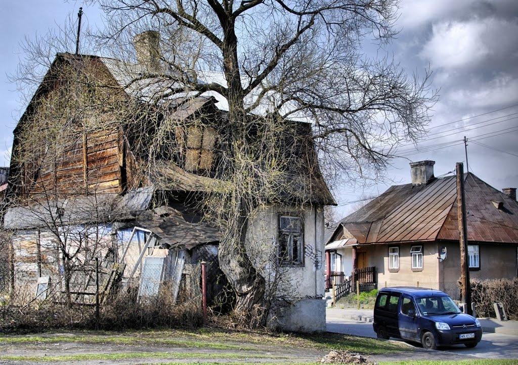 Амбуків з panoramio.com - Ambukiv