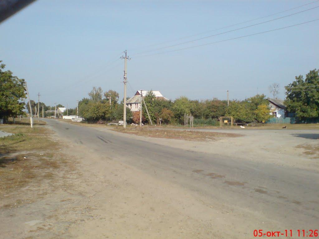 Новоселиця з panoramio.com - Новоселиця