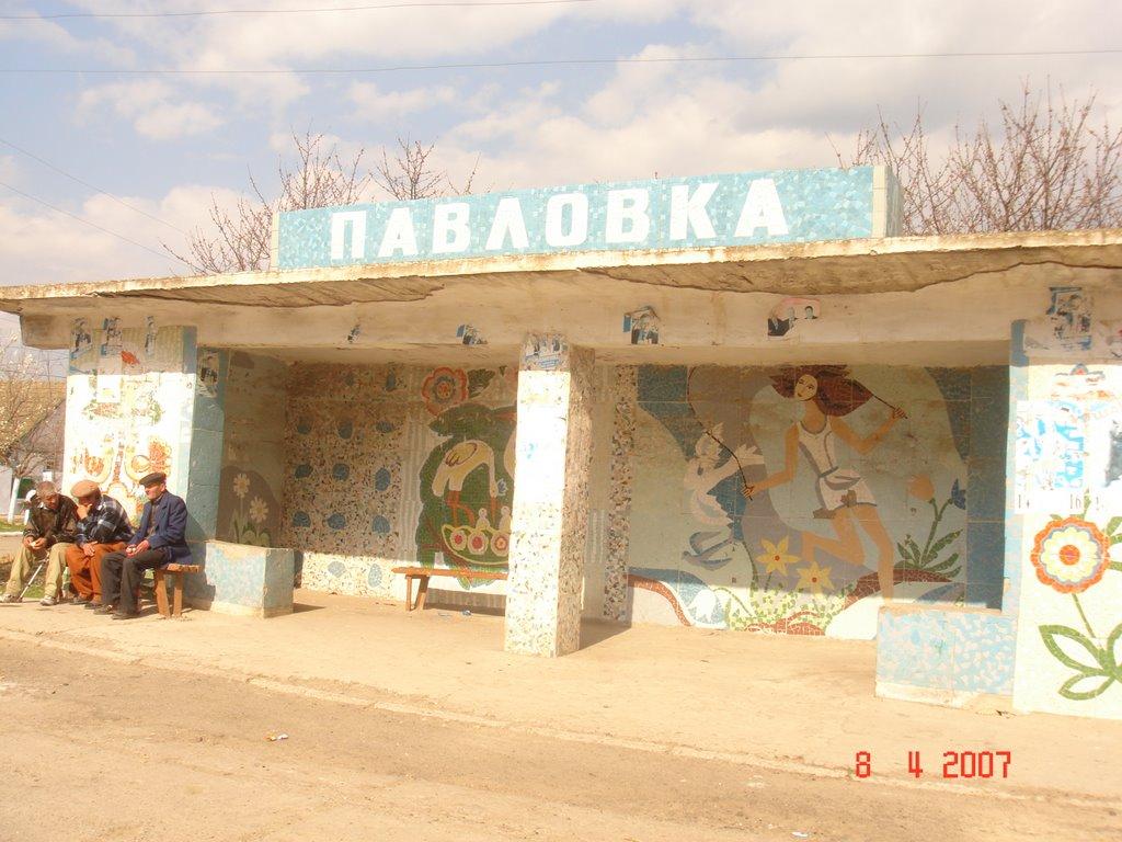 Павлівка з panoramio.com - Павлівка