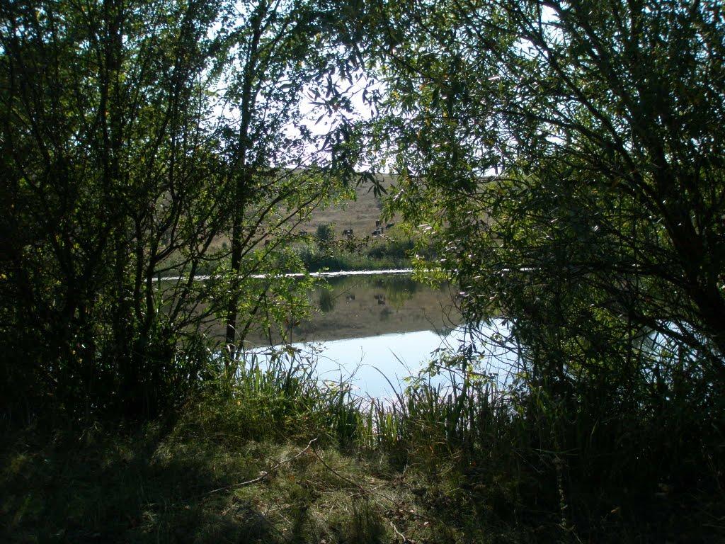 Синюхин Брід з panoramio.com - Синюхин Брід