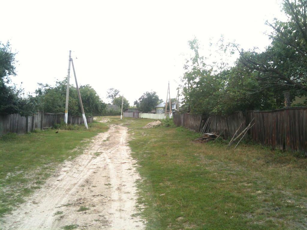 Любитове з panoramio.com - Любитово