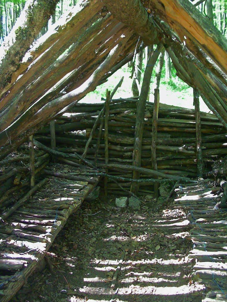 Чайковське з panoramio.com (ч.2) - Чайковское