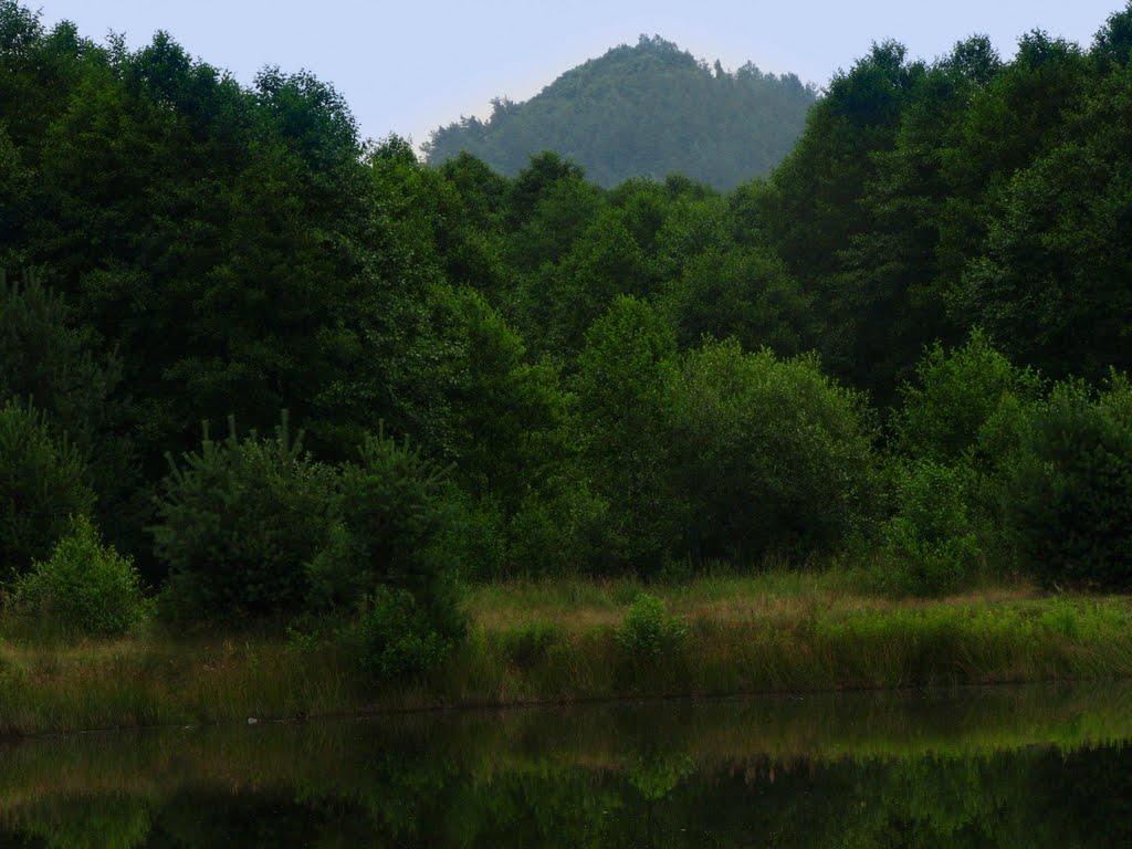 Стіжок з panoramio.com - Стіжок