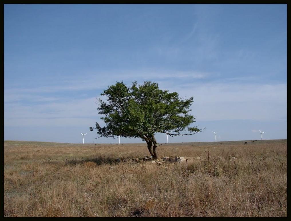 Окунівка з panoramio.com - Окунівка