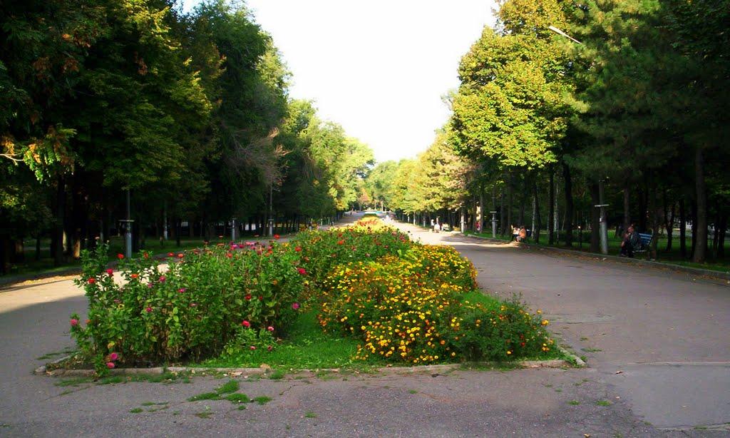 Глеюватка з panoramio.com - Глееватка