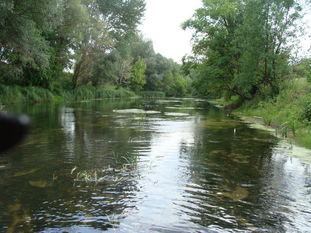Гарасимівка з panoramio.com - Гарасимовка