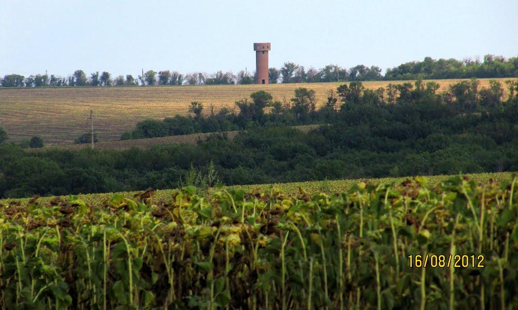 Весела Гора з panoramio.com - Весела Гора