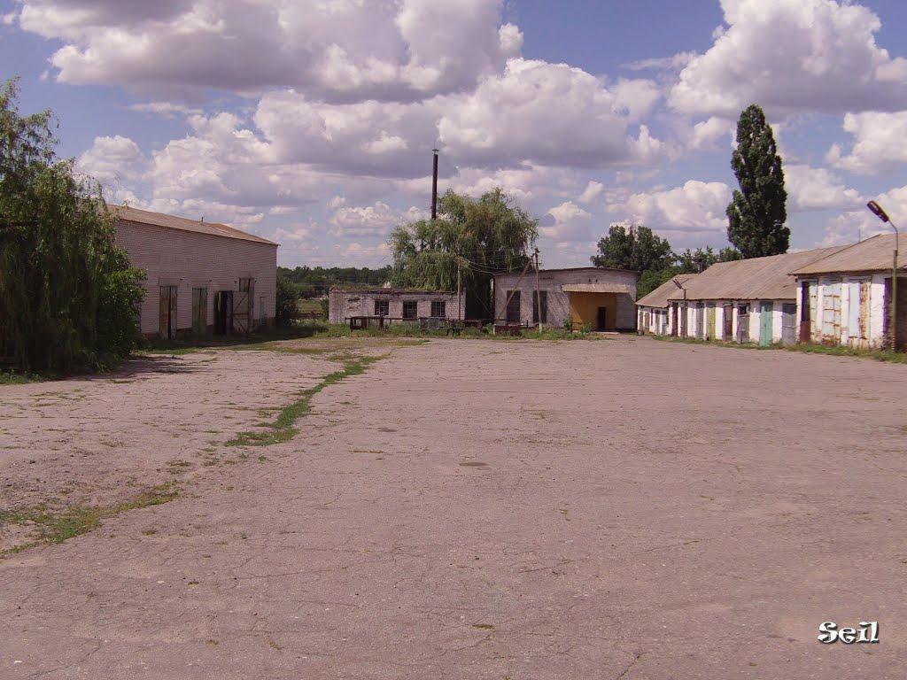 Покровське з panoramio.com - Покровське