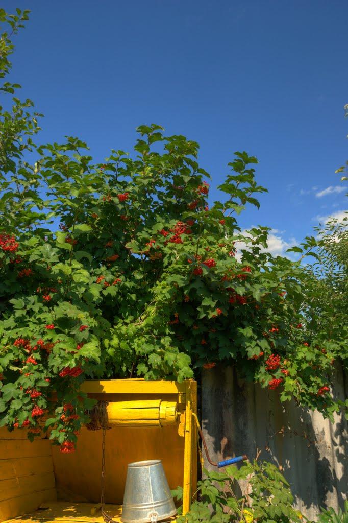 Вербівка з panoramio.com - Verbivka