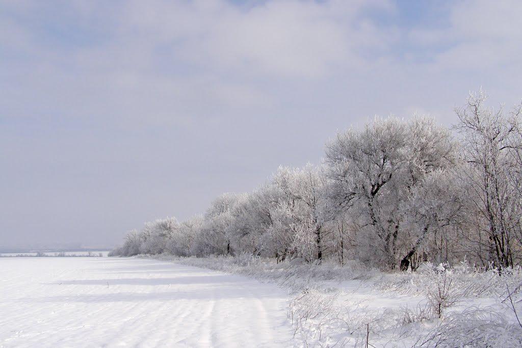 Дачне з panoramio.com - Дачное