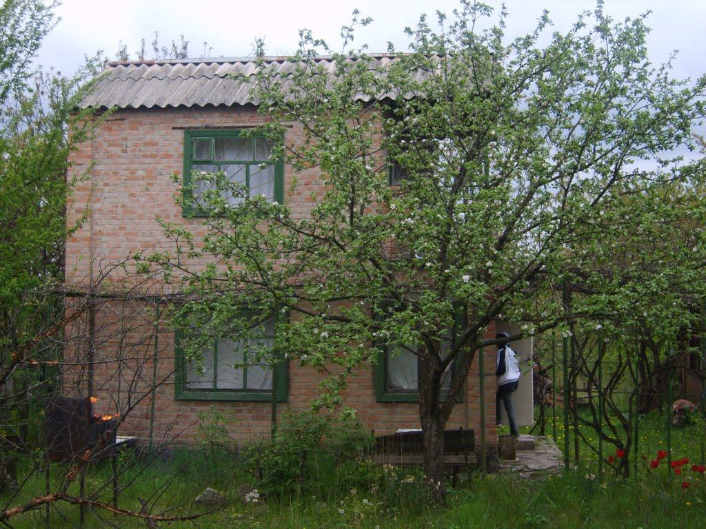 Созонівка з panoramio.com - Созонівка