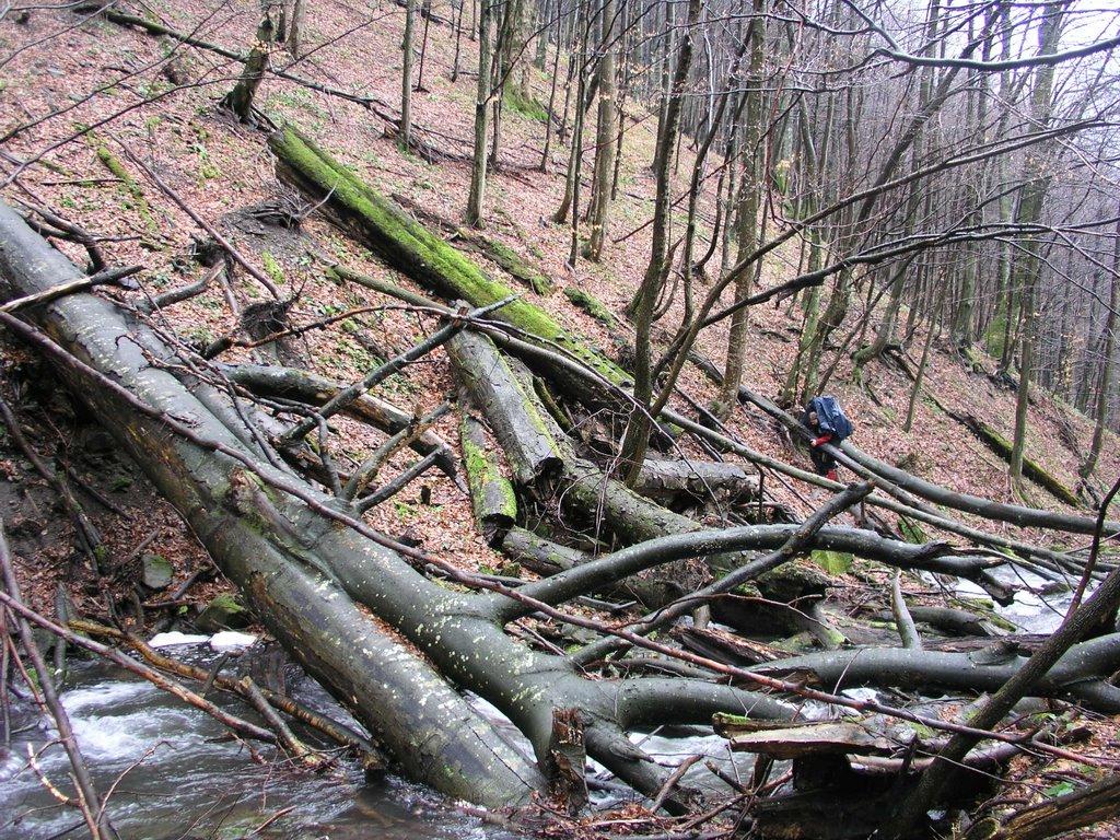 Березники з panoramio.com - Березники