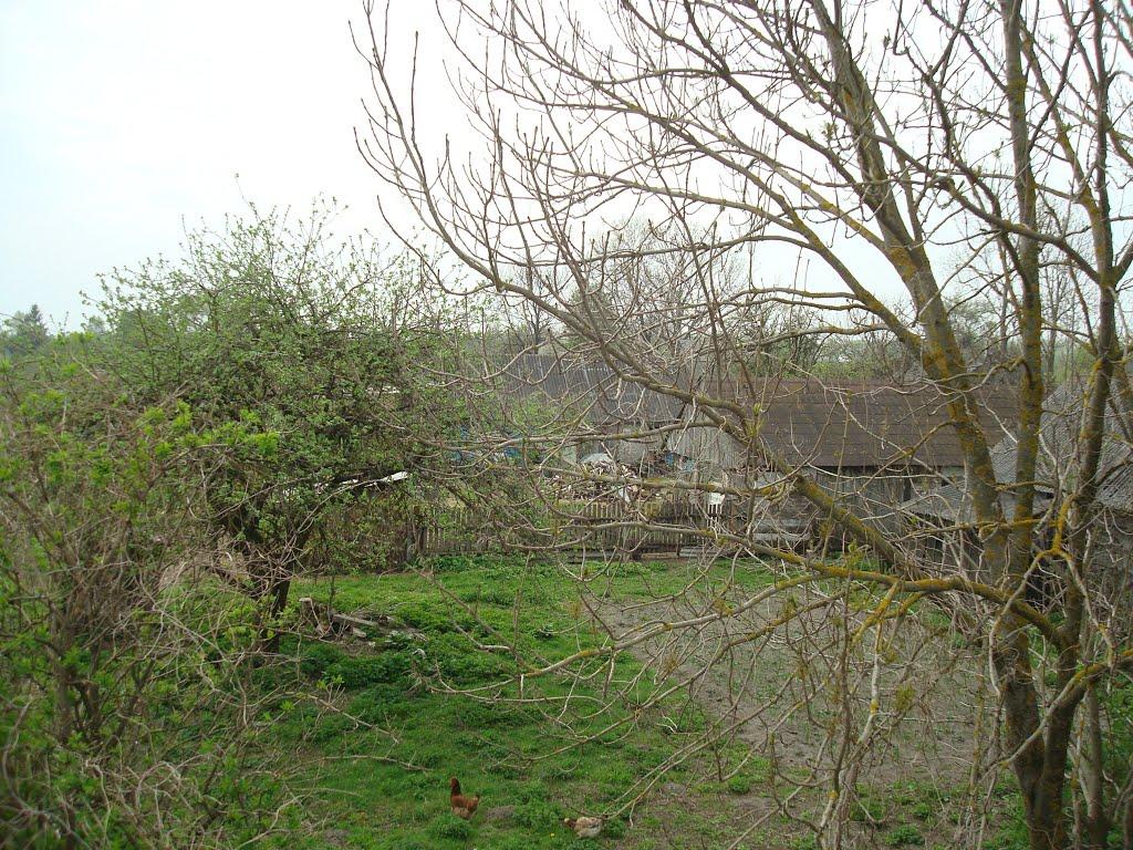 Дроздні з panoramio.com - Дроздни