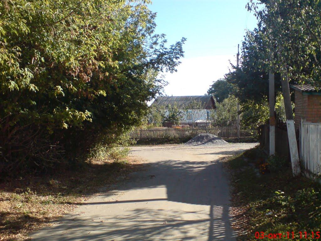 Новоселиця з panoramio.com - Новоселиця