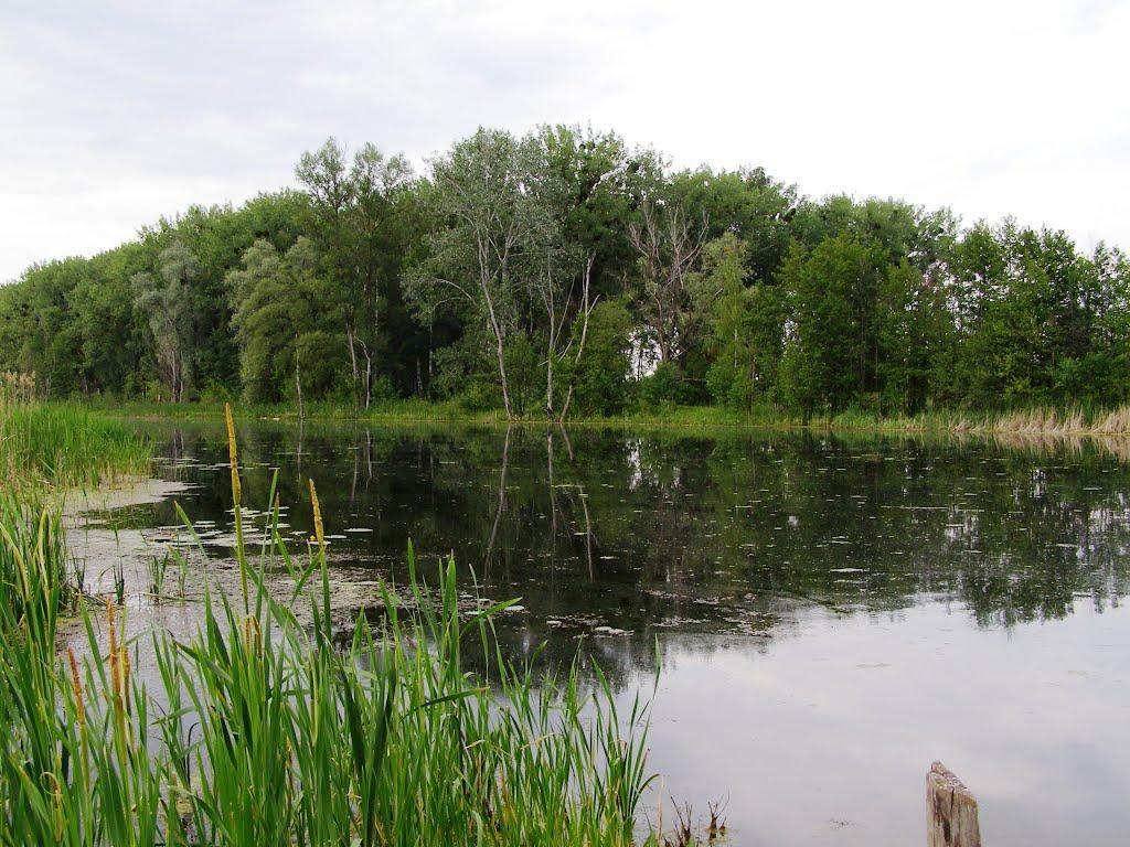 Куземин з panoramio.com - Куземин