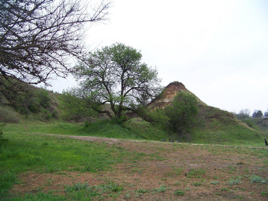Канівське з panoramio.com - Каневское