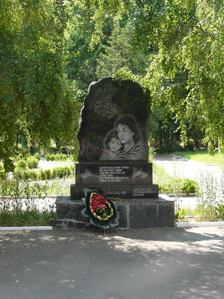 Народичі з panoramio.com - Народичи