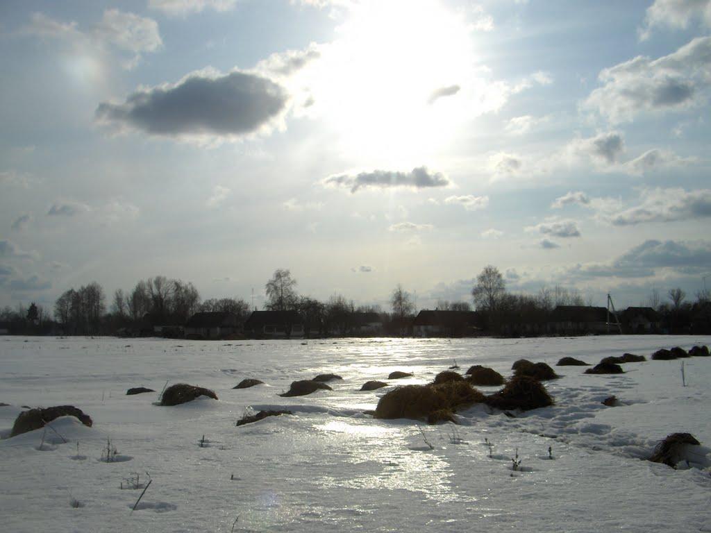 Врублівка з panoramio.com - Врублівка