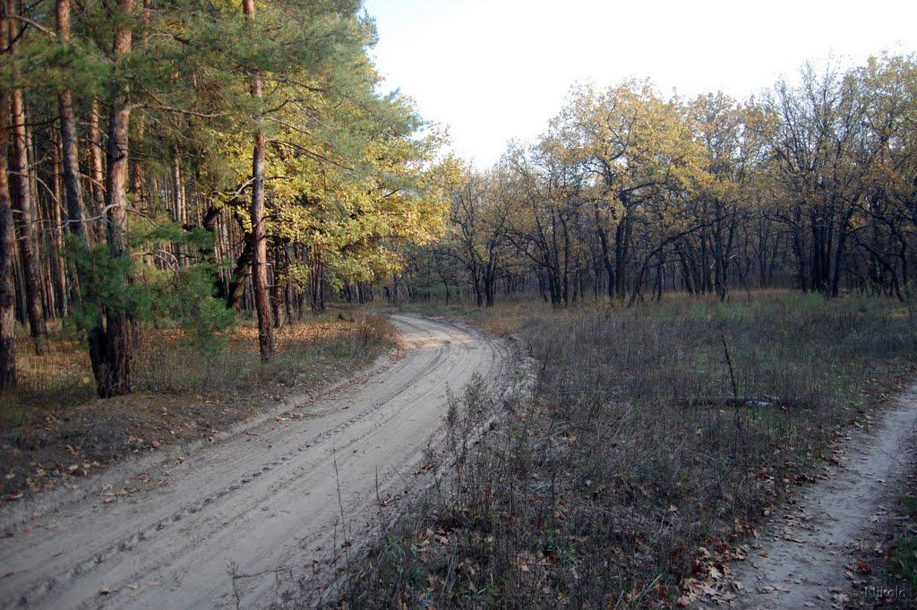 Осколонівка з panoramio.com - Осколонівка
