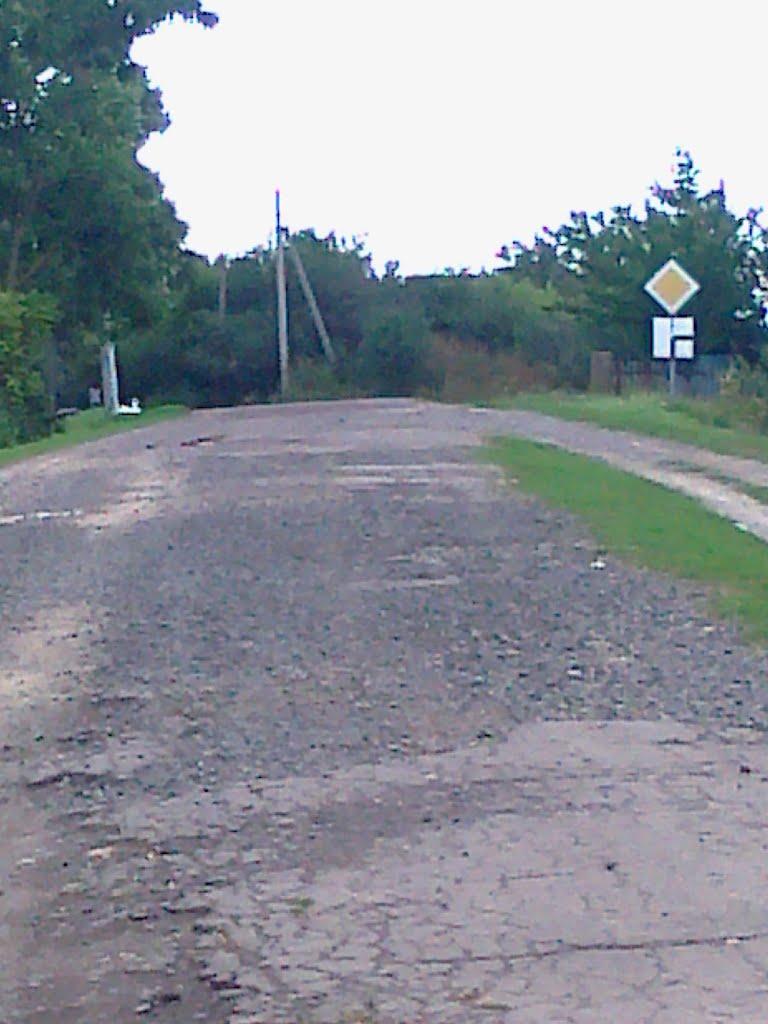 Сатиїв з panoramio.com