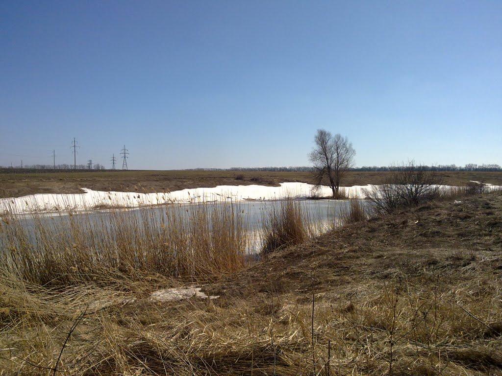 Ольгинка з panoramio.com - Ольгинка