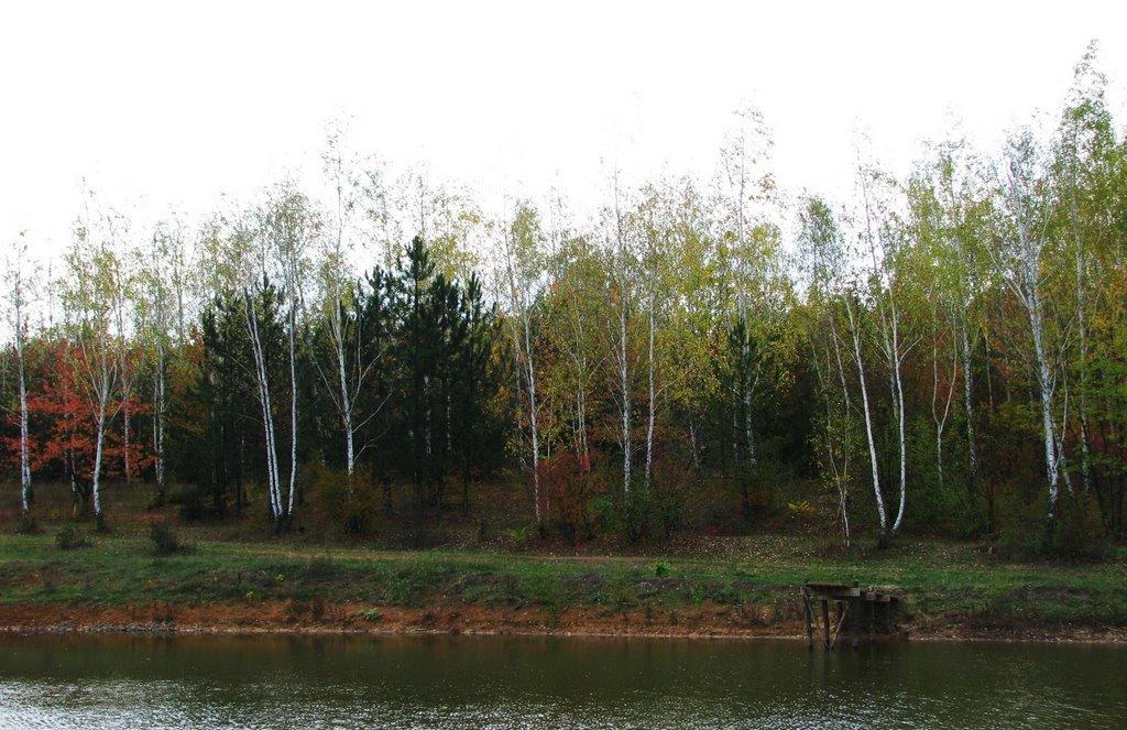 Великий Дальник з panoramio.com - Великий Дальник