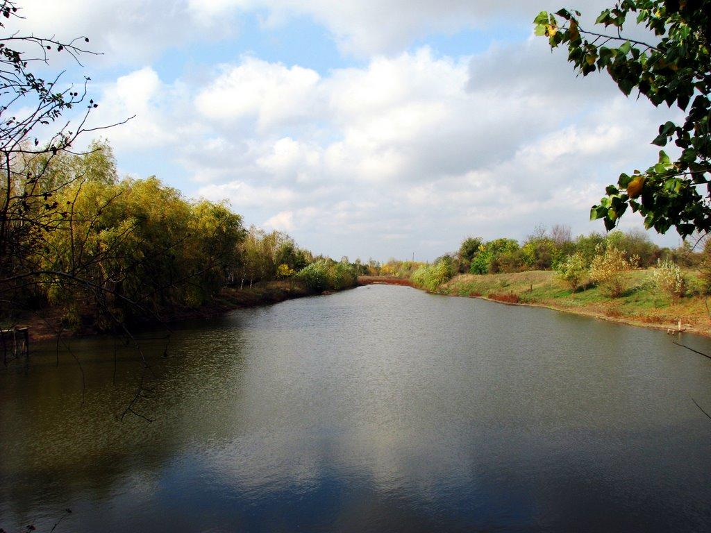 Великий Дальник з panoramio.com - Великий Дальник