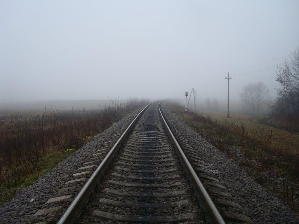Томашівка з panoramio.com - Томашівка