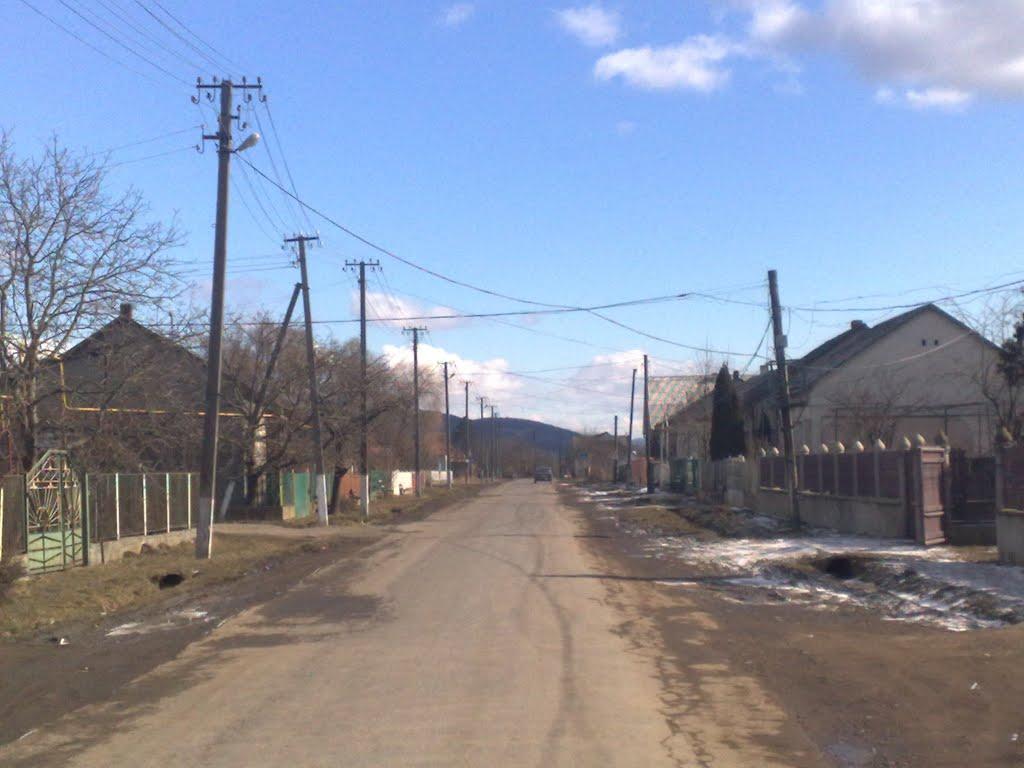 Великі Геївці з panoramio.com - Velyki Geyivtsi