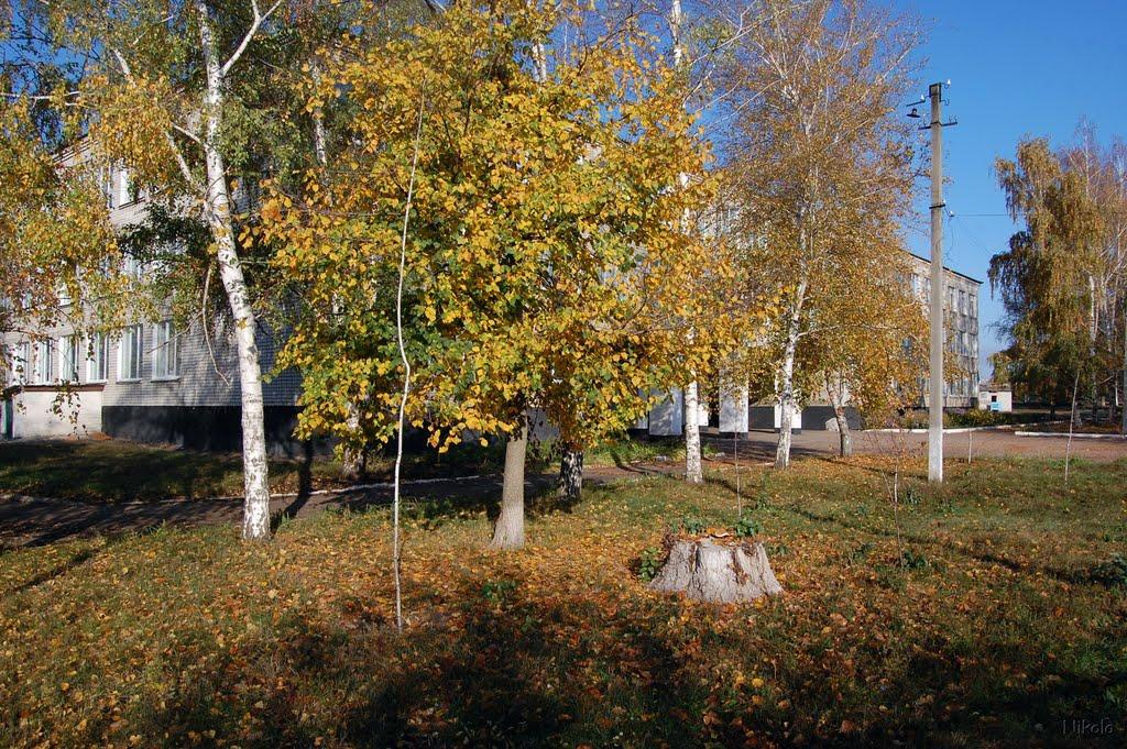 Новопсков з panoramio.com - Новопсков