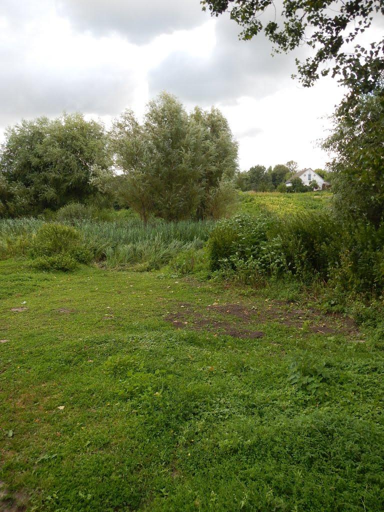 Черемошне з panoramio.com - Черемошное