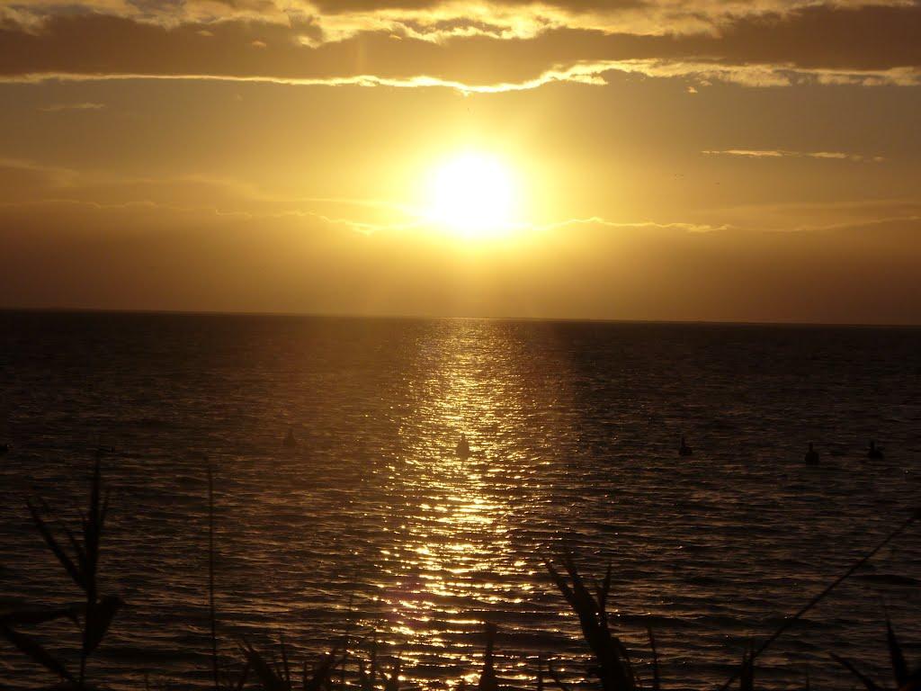 Передмістне з panoramio.com - Предмостное