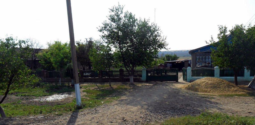 Сухувате з panoramio.com - Сухувате