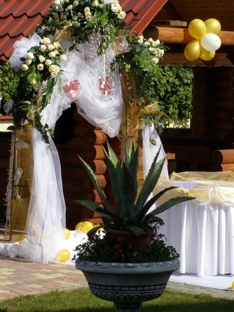 Стройне з panoramio.com - Стройне