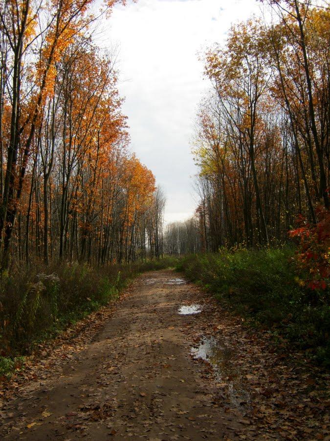 Кияниця з panoramio.com - Кияниця