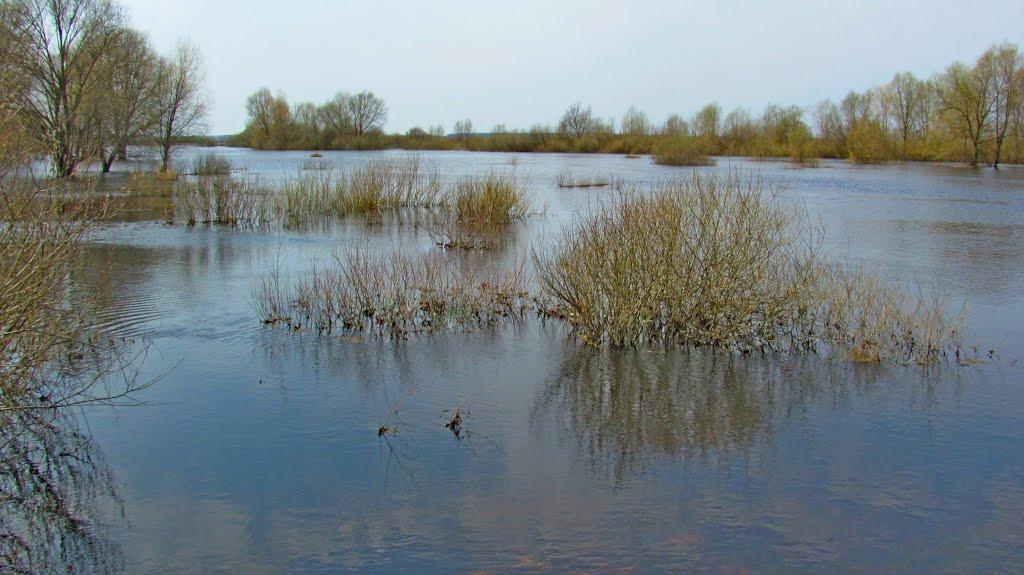 Кузнецовськ з panoramio.com - Varash
