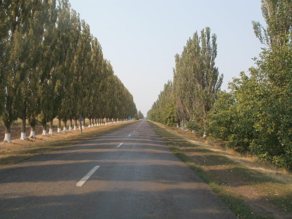 Лідіївка з panoramio.com - Лідіївка