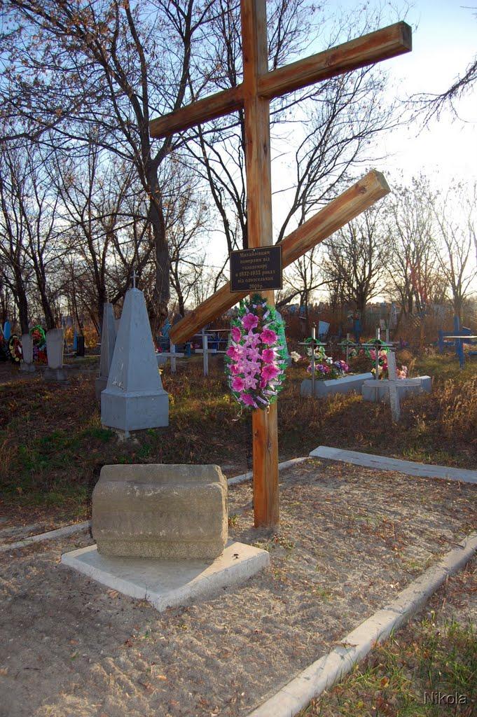 Єпіфанівка з panoramio.com - Єпіфанівка