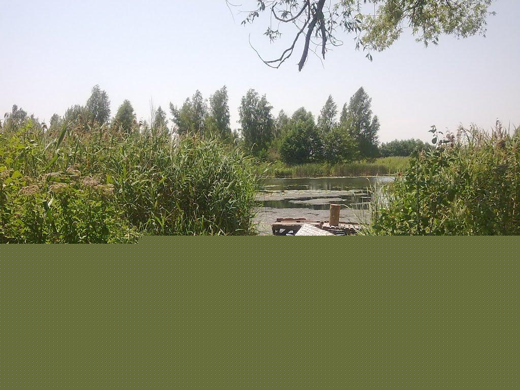 Виноградівка з panoramio.com - Виноградівка